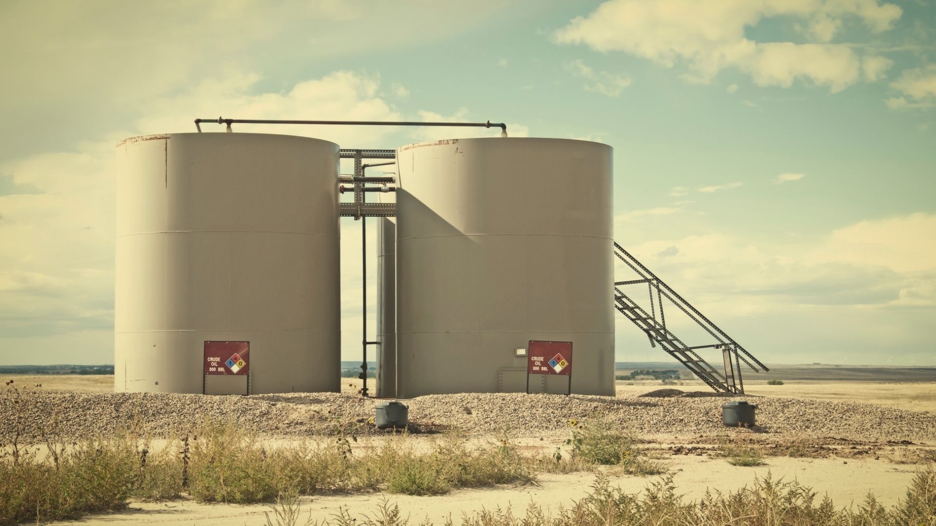 Untitled design (10)