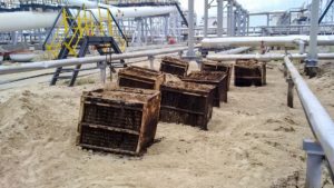 Untitled design (11)